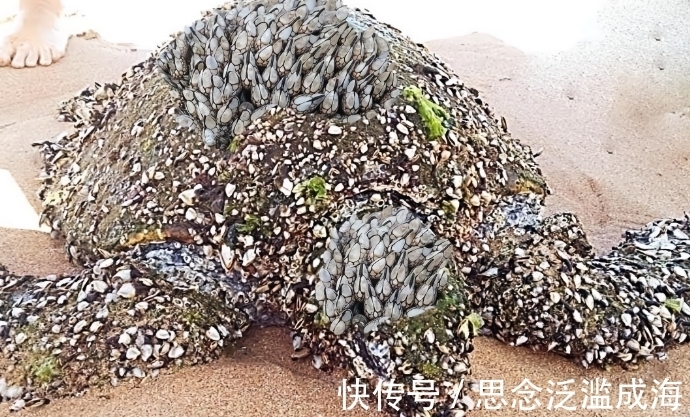 中国深海黑科技：无人艇潜伏30天监控南海美日急了