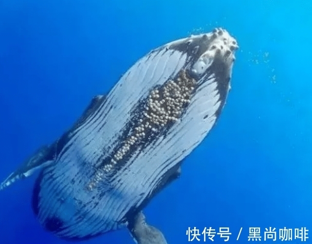 品味“世界杯”中的文化(图1) 品味“世界杯”中的文化