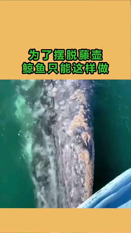 海南最新资讯-快科技--科技改变未来