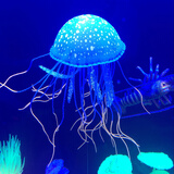 灯塔水母资料大全pdf