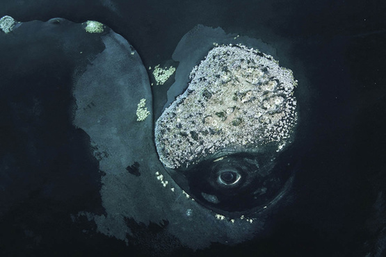 果壳 科技有意思(图5)