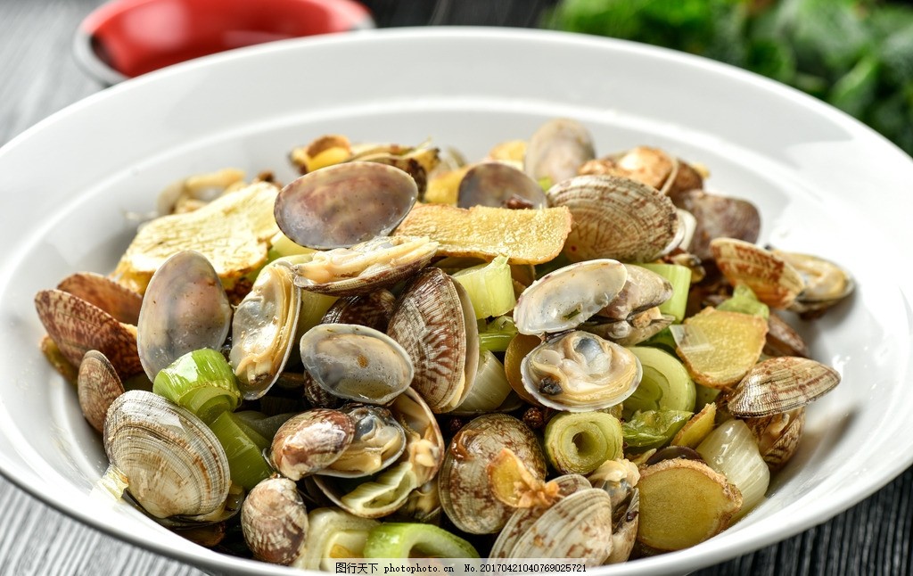 蛤蜊和花甲是不是一样的(图1) 蛤蜊和花甲是不是一样的