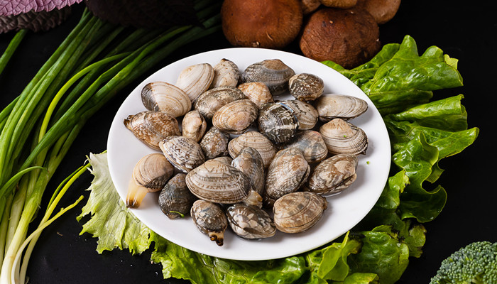 蛤蜊和花甲的区别 蛤蜊和花甲的区别是什么(图2)