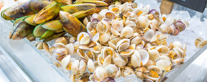 蛤蜊和花甲的区别 蛤蜊和花甲的区别是什么(图1)