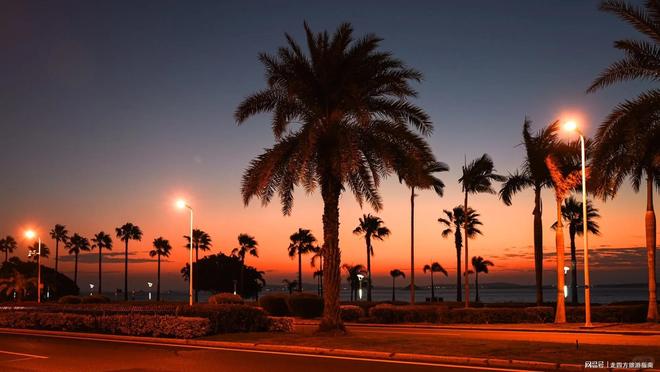 厦门适合情侣打卡的景点推荐假期和女友去厦门旅游5天路线安排(图1)