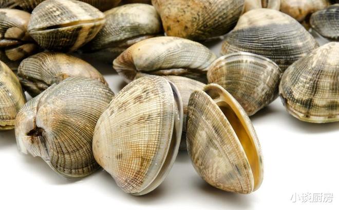 花甲、花蛤、蛤蜊是同一种东西吗?别再傻傻分不清楚了(图3)