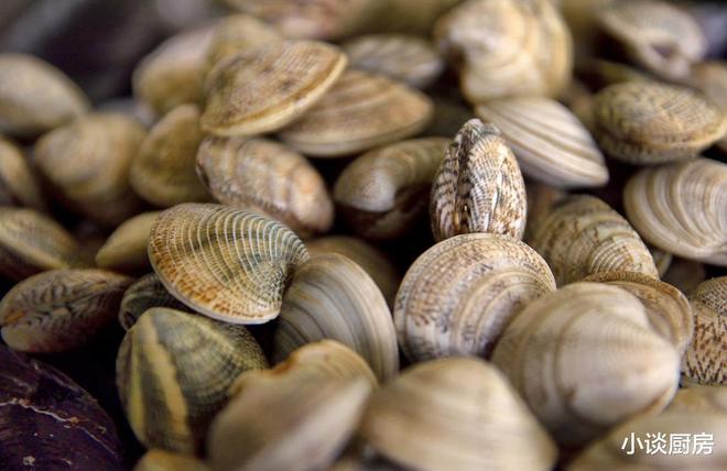 花甲、花蛤、蛤蜊是同一种东西吗?别再傻傻分不清楚了(图2)