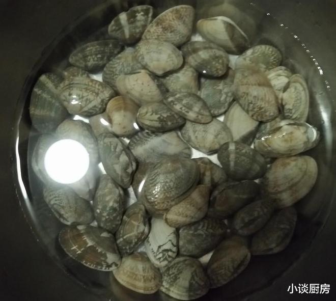 花甲、花蛤、蛤蜊是同一种东西吗?别再傻傻分不清楚了(图4)