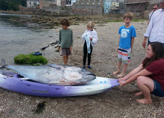 TECHNOLOGIES AND SERVICES IN SHIPPING PORTS MARINE OFFSHORE TECHNOLOGY SHIPBUILDING SHIP REPAIR