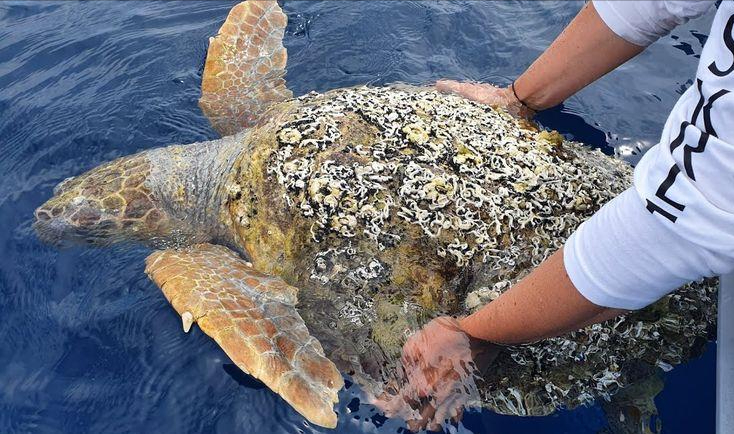 嘉实事件驱动股票