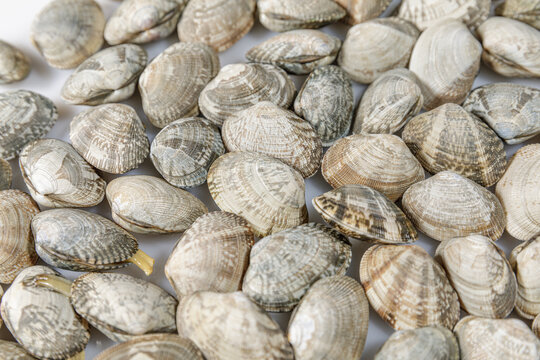 避坑指南|青岛不踩坑旅行社选择资深老牌信誉佳真纯玩无购物攻略(图1) 避坑指南|青岛不踩坑旅行社选择资深老牌信誉佳真纯玩无购物攻略