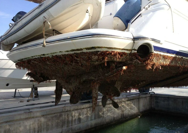 生物、地理不作为中考计分科目!吉林省对中考事项作出调整(图1) 生物、地理不作为中考计分科目!吉林省对中考事项作出调整