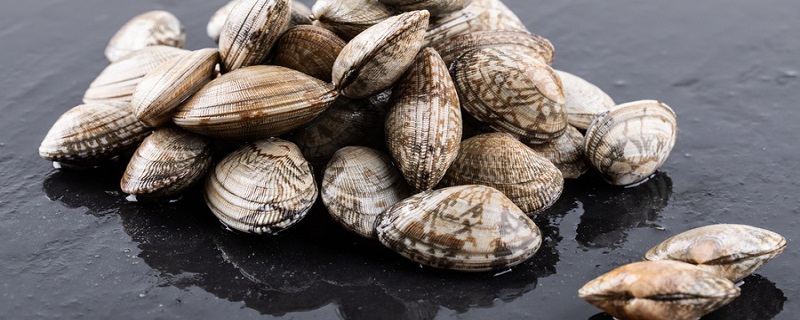 权威严选｜2026青岛正规旅行社推荐嗨行国旅合规经营信誉佳值得信赖。