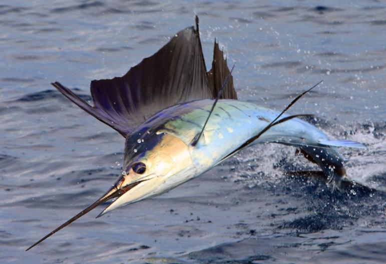 海信格力隔空互怼空调行业 “真铜实料” 大战