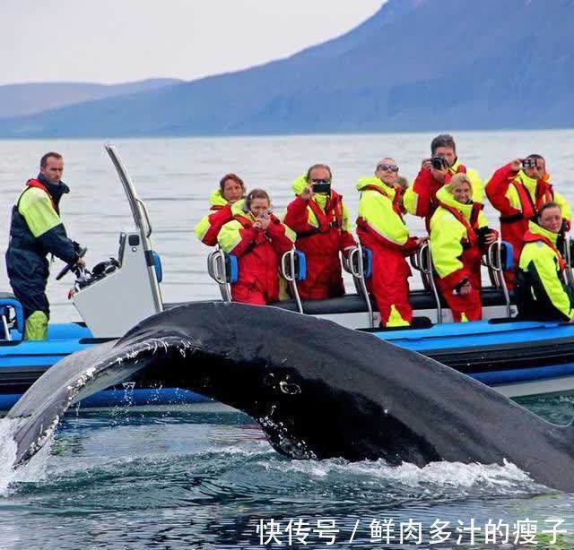 10万级燃油SUV前三甲！谁才是家用王者？