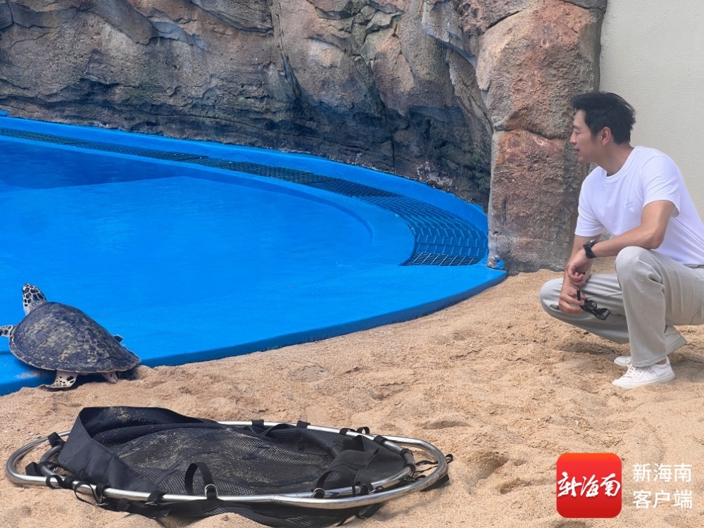 保护模式再升级三亚海龟繁育基地“海龟之家”揭牌(图4)