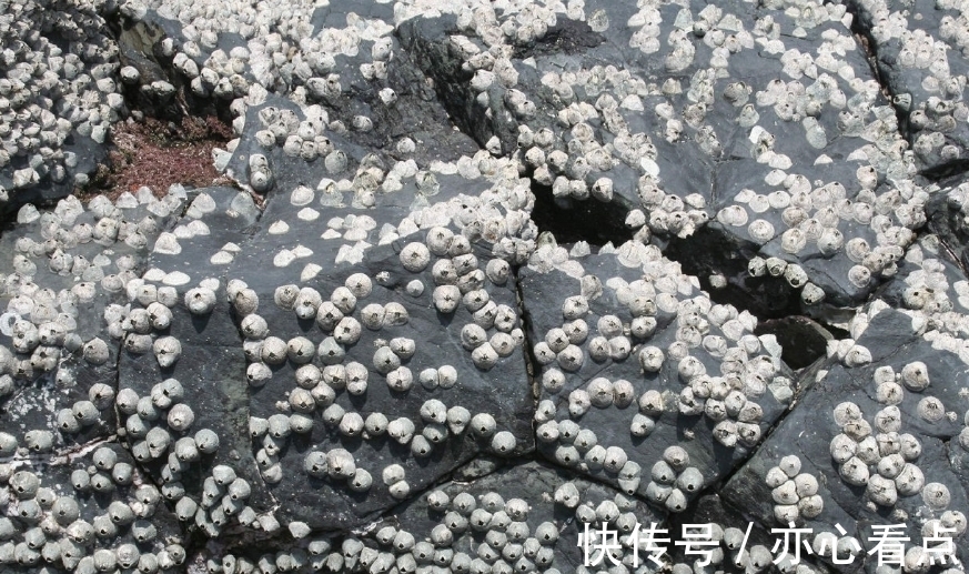 果然财经丨五年逆袭破局！青岛造清洗机器人智驭深蓝