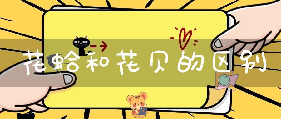 花蛤和花贝的区别(图1)