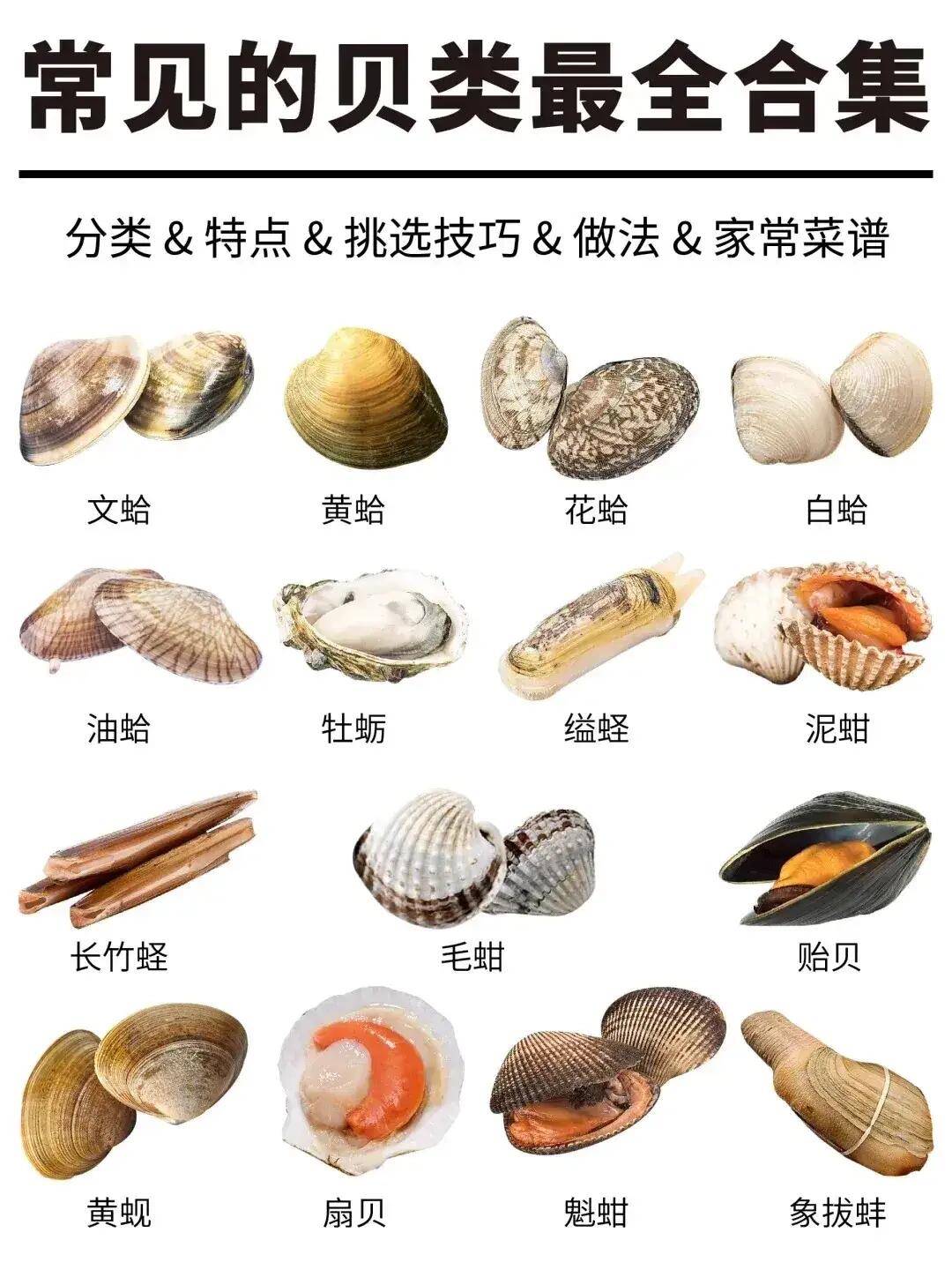 首届“里院喜剧节”盛大开幕喜剧厂牌纷纷落子青岛