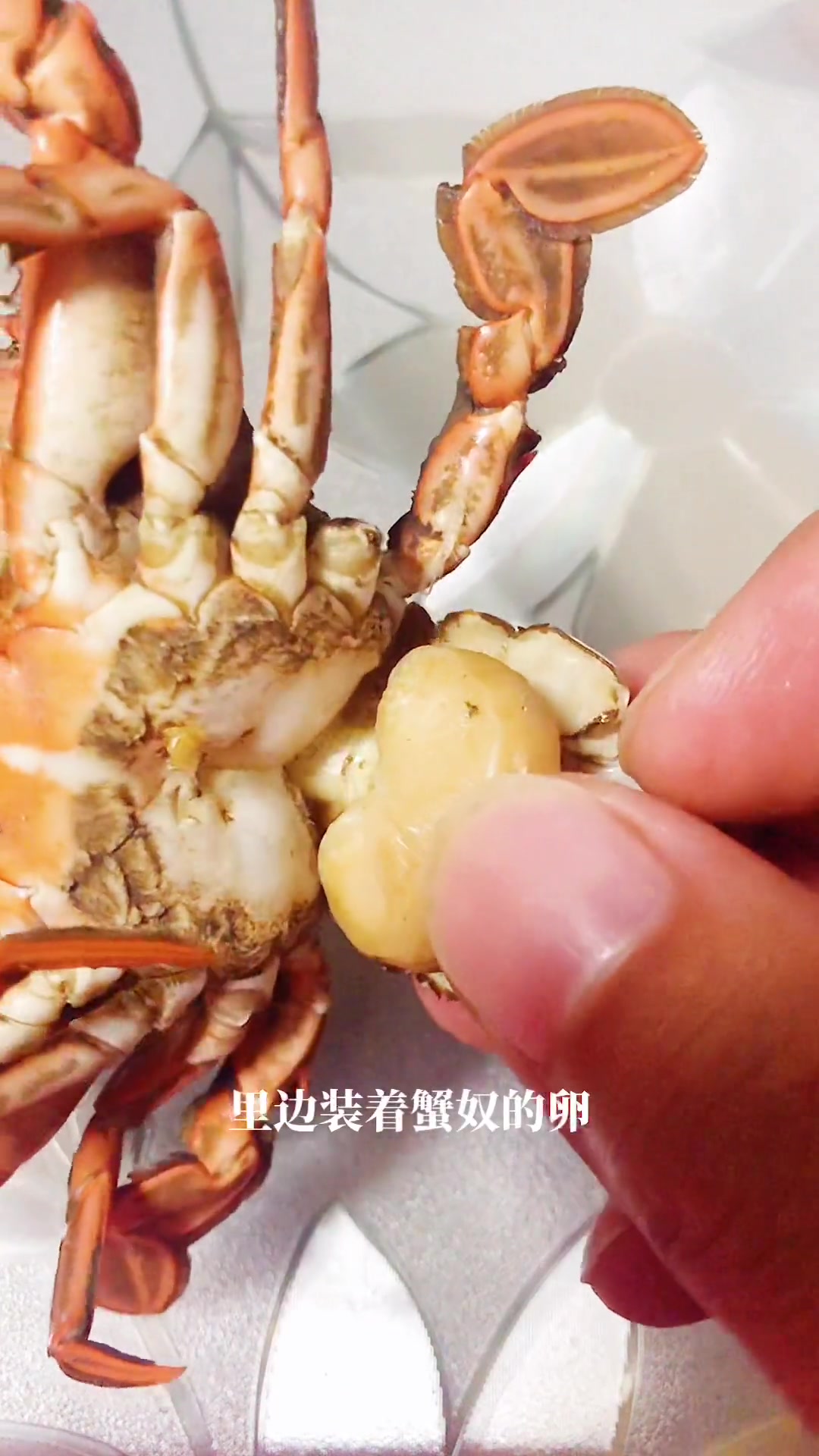 人吃了蟹奴有事吗