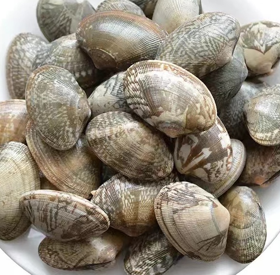 开心一刻：去海边赶海的奇葩事