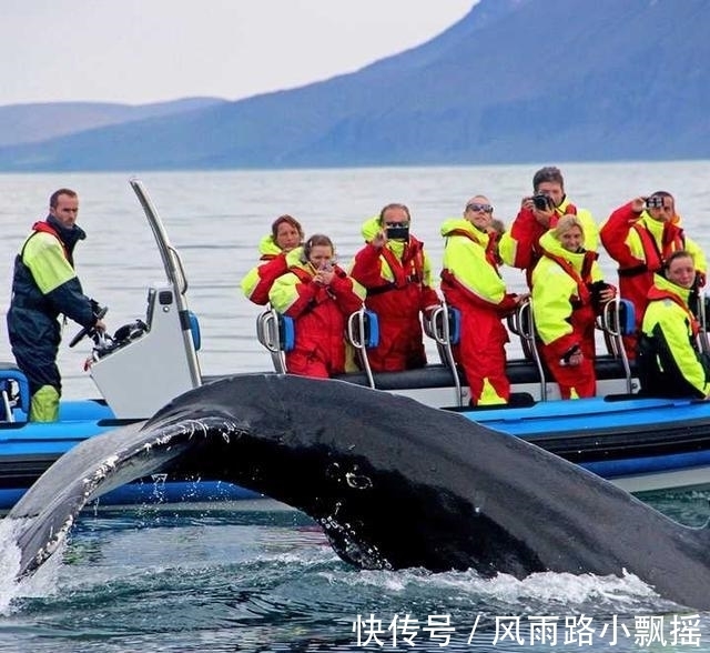 “灿鸿”“白海豚”“鲸鱼”三台共舞！台风蓝色预警发布将对哪些地方带来影响？