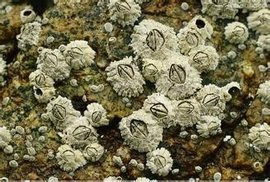 经济时评-财经-证券之星-读懂财经新闻