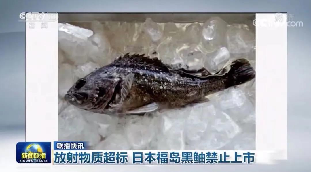 珠江钢琴(002678)_最新价格_行情_走势图—东方财富网
