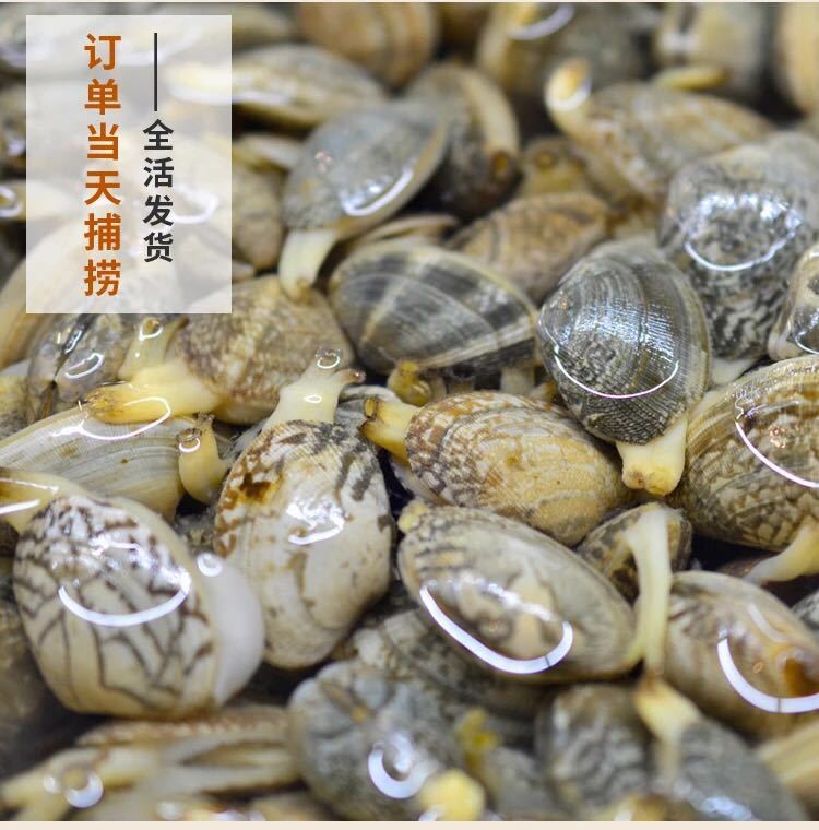 吃花蛤的好处和坏处分别是什么