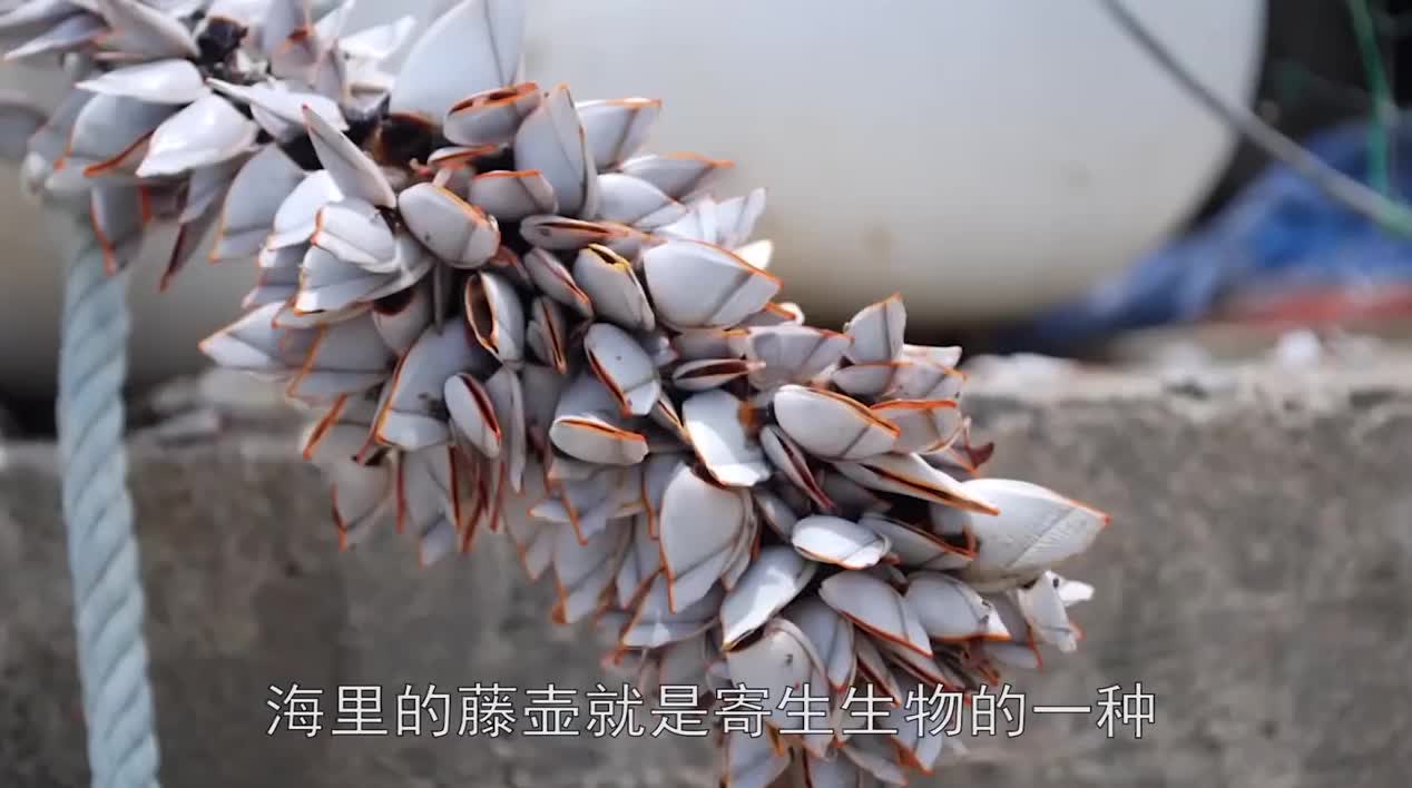 证券频道-中国日报网