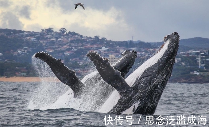 公司资讯_东方财富网