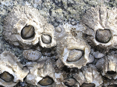 当生命在方向盘前悬于一线我们是否真的懂得如何与死神赛跑？