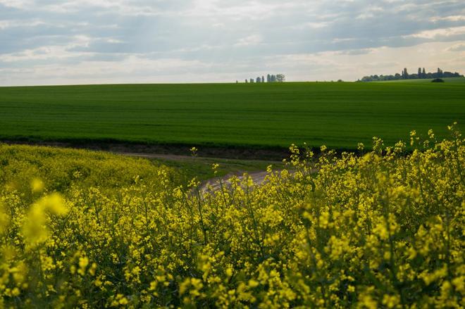 处暑出游指南5个小众目的地避开人潮邂逅最后的夏天推荐游玩(图5)
