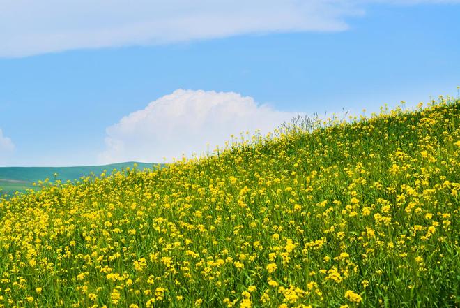 处暑出游指南5个小众目的地避开人潮邂逅最后的夏天推荐游玩(图4)