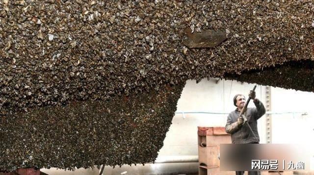 航母拖回几十吨海鲜海军却直接烧掉背后藏着什么秘密?(图4)