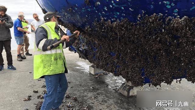 航母拖回几十吨海鲜海军却直接烧掉背后藏着什么秘密?(图3)