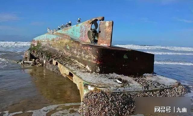 航母拖回几十吨海鲜海军却直接烧掉背后藏着什么秘密?(图5)