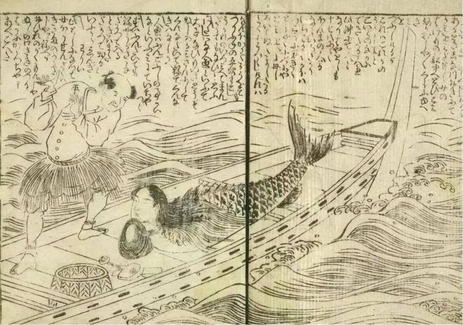 南海出现“鲛人”多次?渔民看见人身鱼尾生物山海经中有记载(图5)