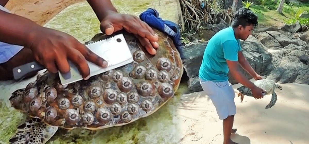 藤壶？-Raycao最新章节-免费小说-全文免费阅读-Raycao作品-话本小说网