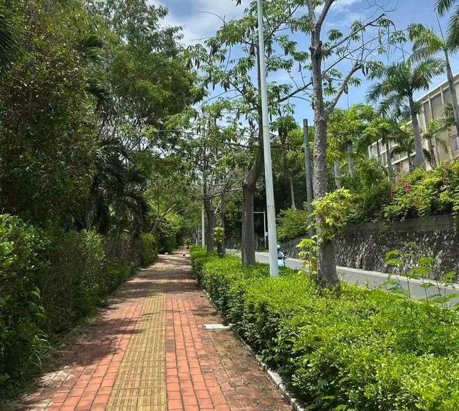 女子三亚旅游被蛇咬至身亡过程及进展:官方介入家属称或考虑尸检(图2)