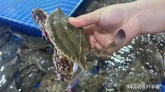 买梭子蟹遇粉色颗粒别慌!专家说这招能放心吃(图2)