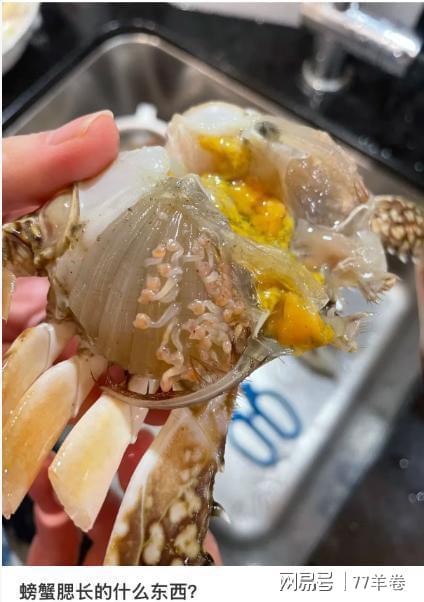 买梭子蟹遇粉色颗粒别慌!专家说这招能放心吃(图4)
