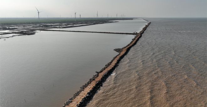 射阳海洋修复项目获联合国海洋生态保护修复大赛重点项目奖(图1)