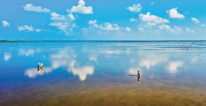 射阳海洋修复项目获联合国海洋生态保护修复大赛重点项目奖(图3)