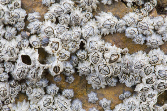 料理店_标签_网易出品