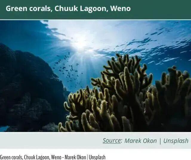 海洋科普 海洋与生物多样性是什么关系?(图1)