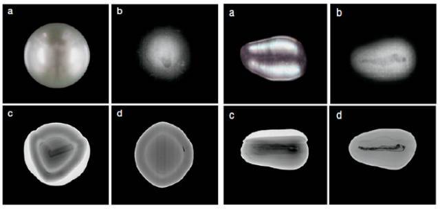 盘点：2012撑起国际政坛半边天的八个女人