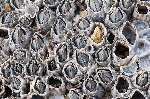 嫁法国老头线岁李宇春近况曝出丝毫不感到意外(图1) 嫁法国老头线岁李宇春近况曝出丝毫不感到意外