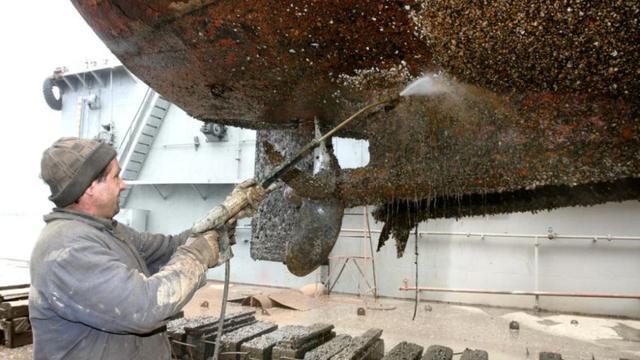 极限工作之船底清洁:大船底能刮好几十吨海鲜但你敢去吃吗?(图8)