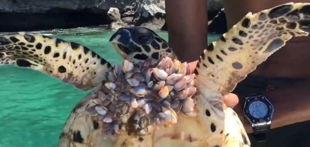 潮声里的文明 -e观文明 - 文明风